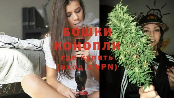 дурь Медвежьегорск