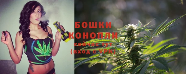 дурь Медвежьегорск
